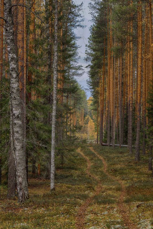 Осенняя пора фото превью