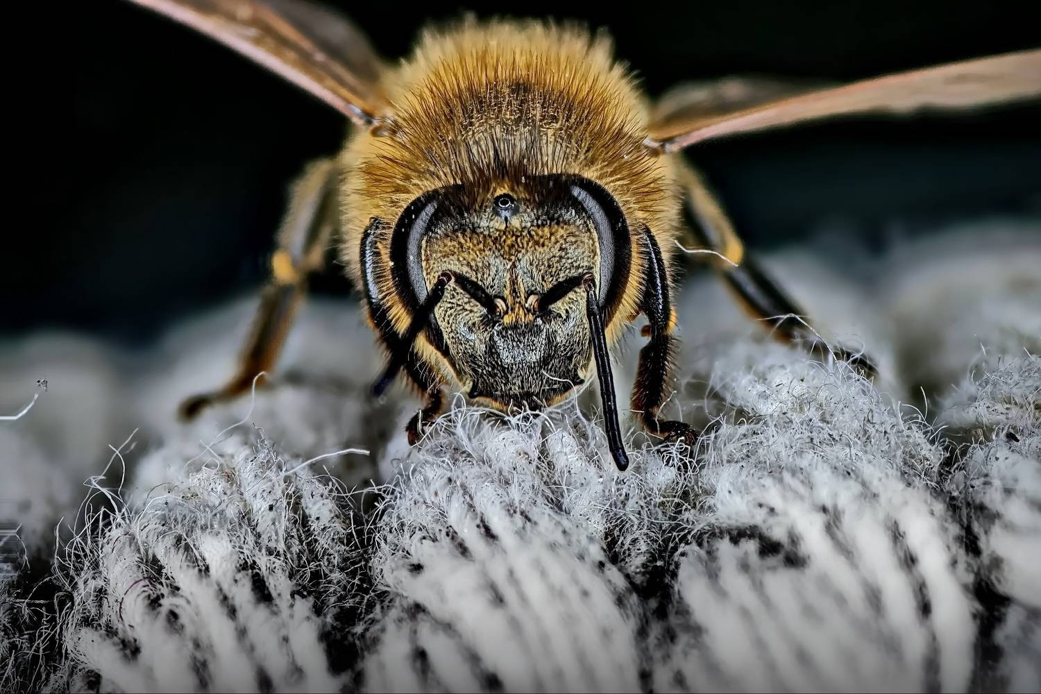 Mi Note 10 pro, Дмитрий Кузнецов