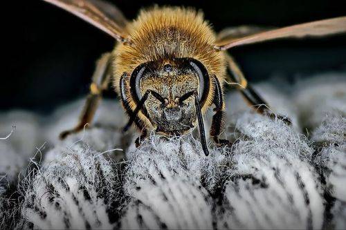 Заглянул на огонёк