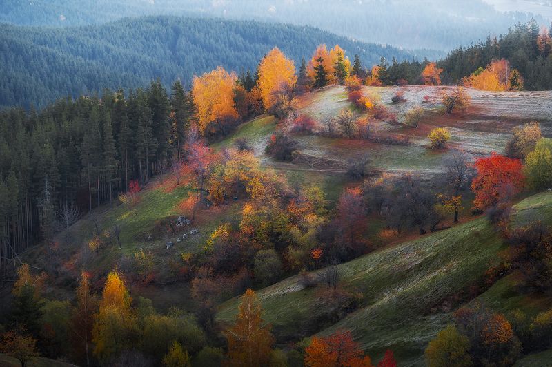 Autumn dyes / Осенние цвета