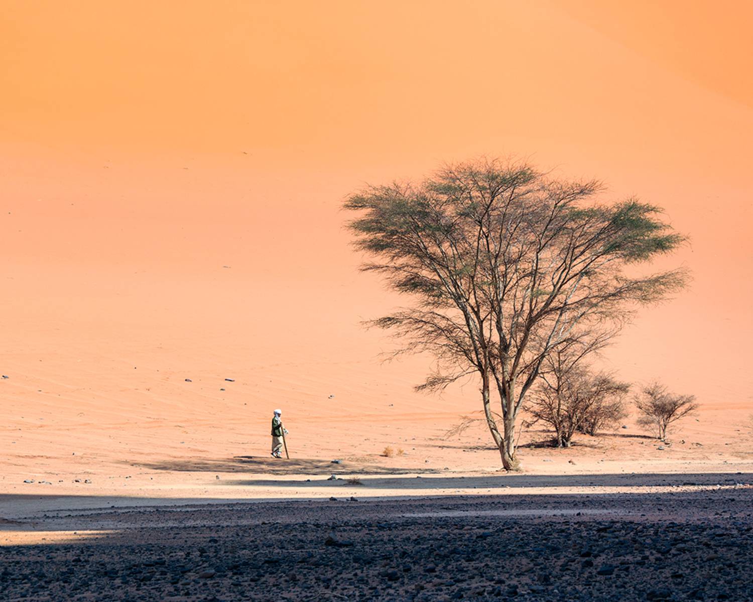 , Антипов Игорь