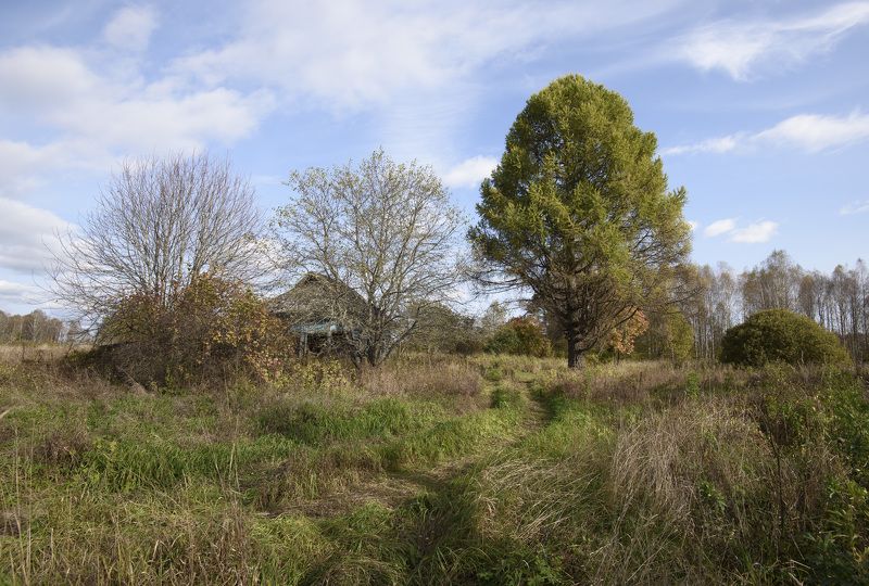 фото превью