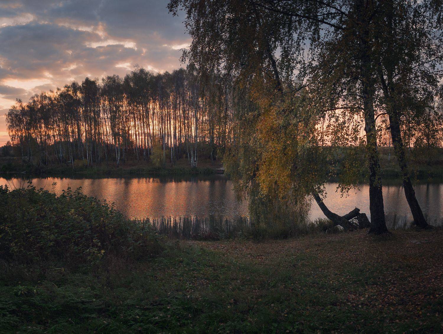 #пезаж #осень #рассвет,  Ольга