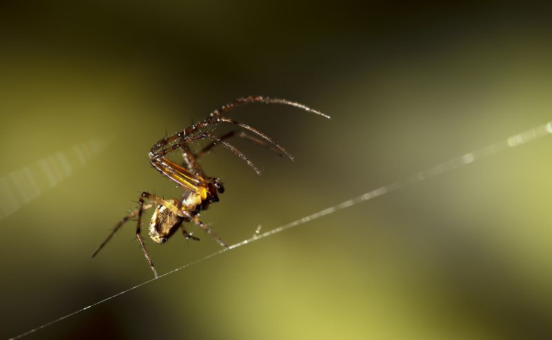 ... фото превью