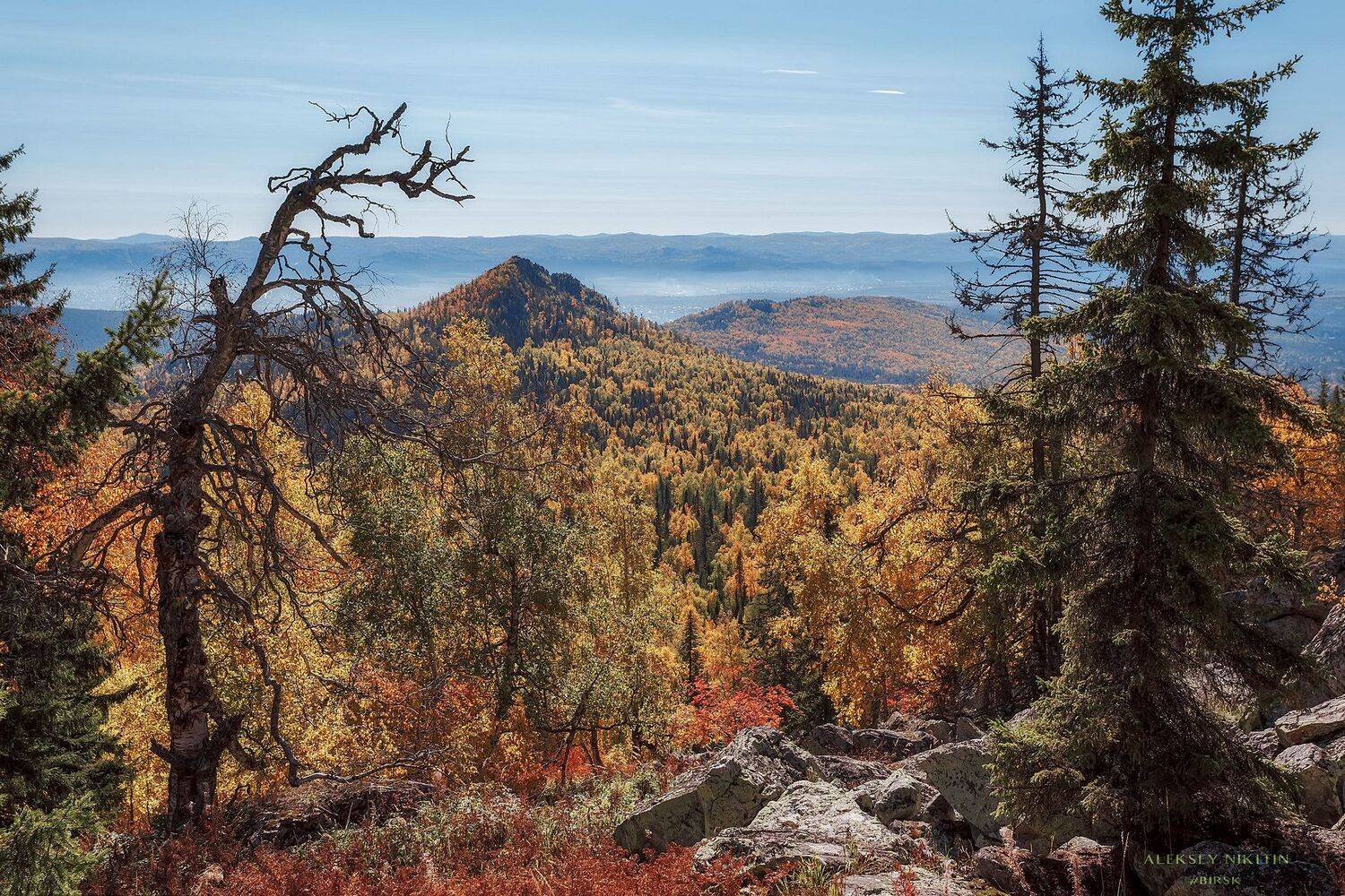 , Никитин Алексей