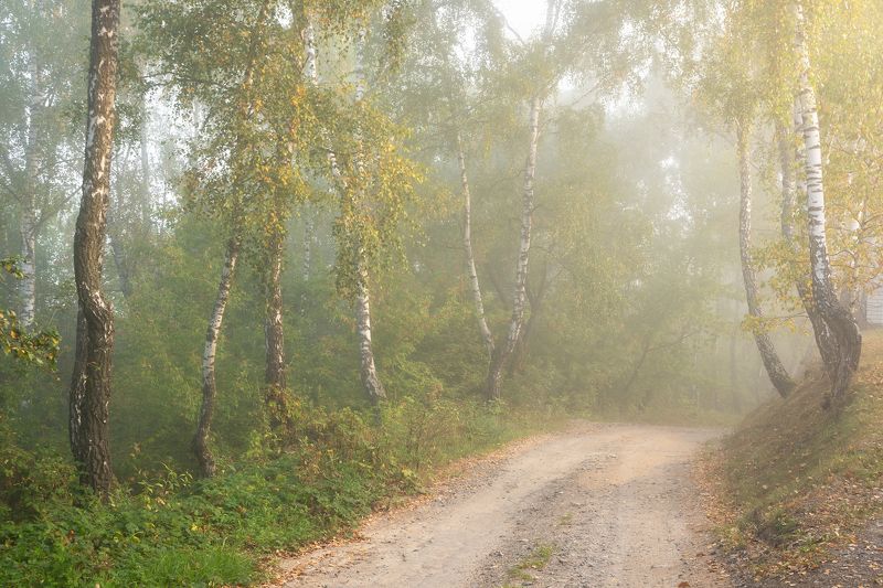 По дороге в осень фото превью