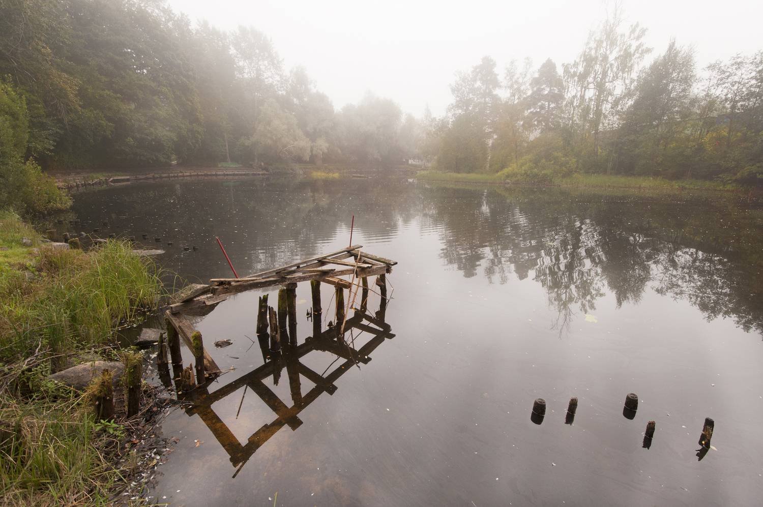 , Георгий Сапожников