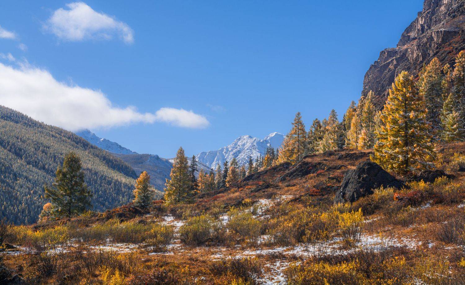 россия, горный алтай,осень, Андрей Поляков