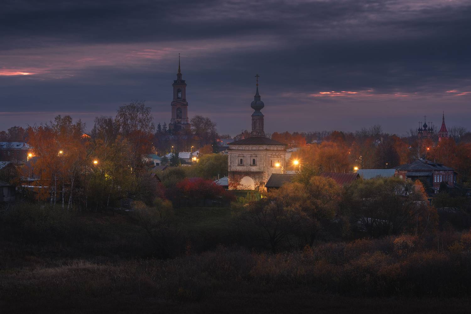 , Политова Анна