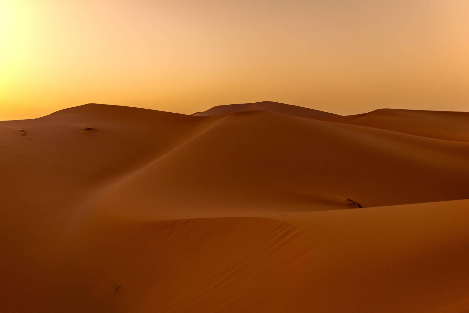 , Jose Pedrero Barrios