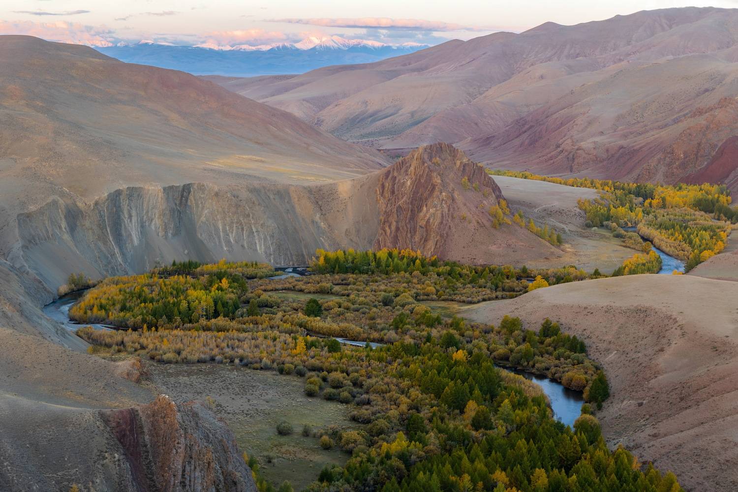 russia, altay, алтай, Михаил Конарев