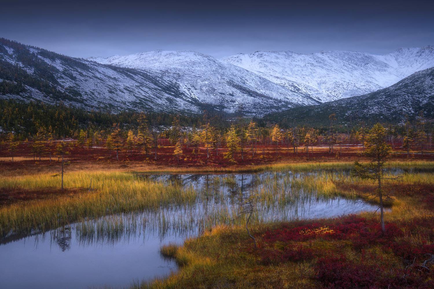 , Владимир Ляпин