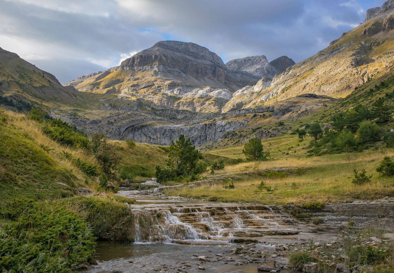 , Алекс Римский