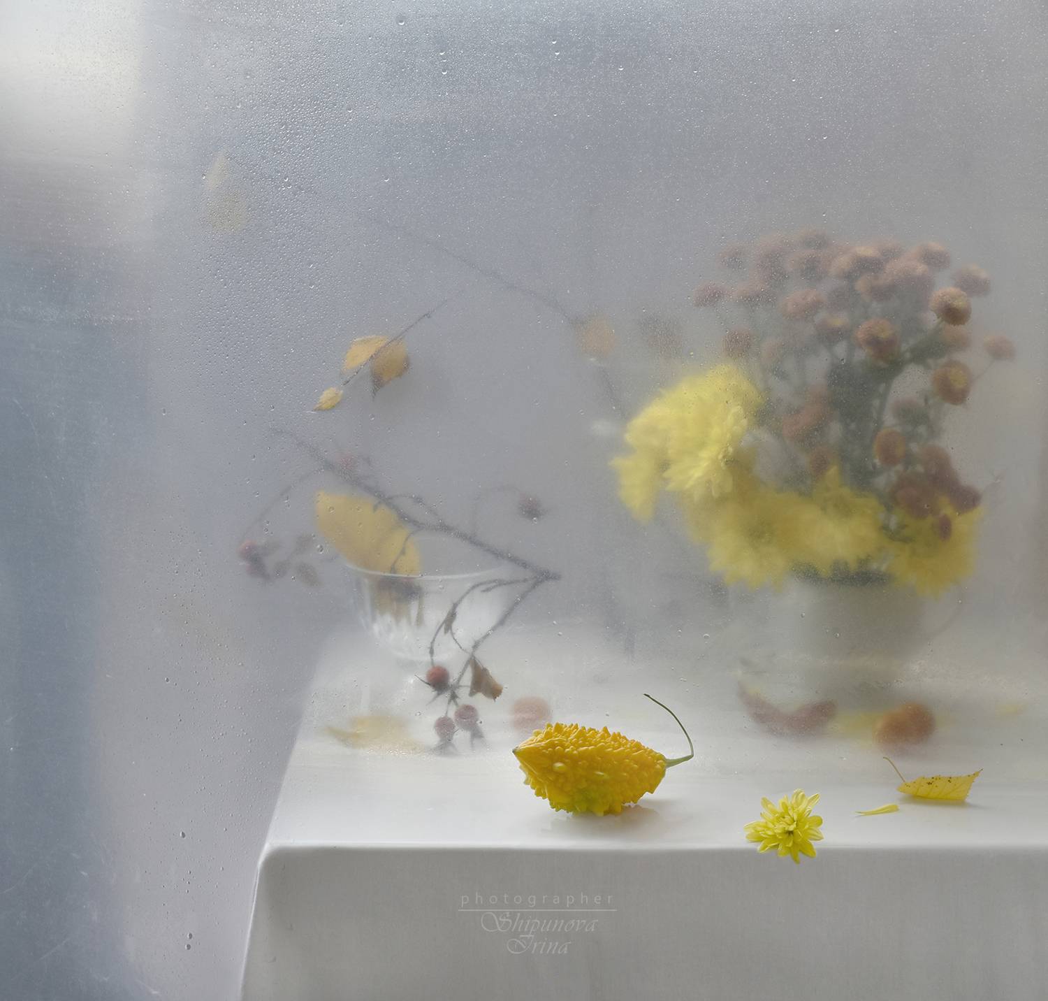 , Ирина Шипунова