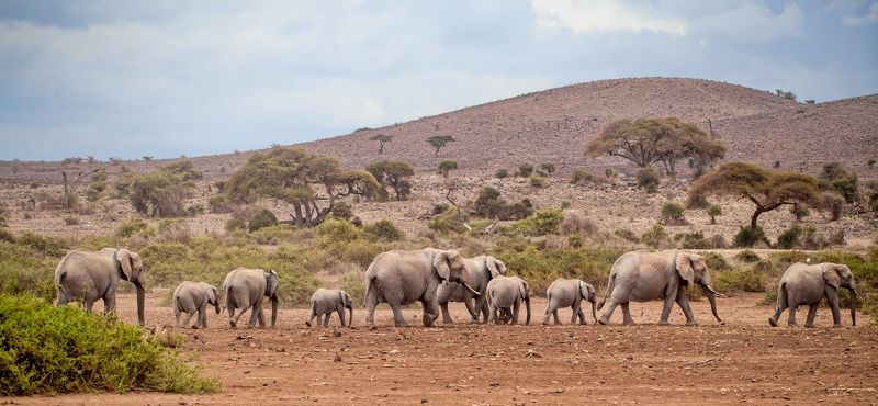 Кения Big Fam фото превью
