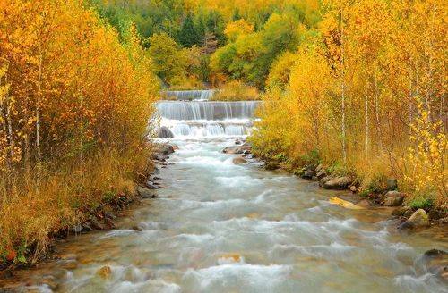 Золотая осень.