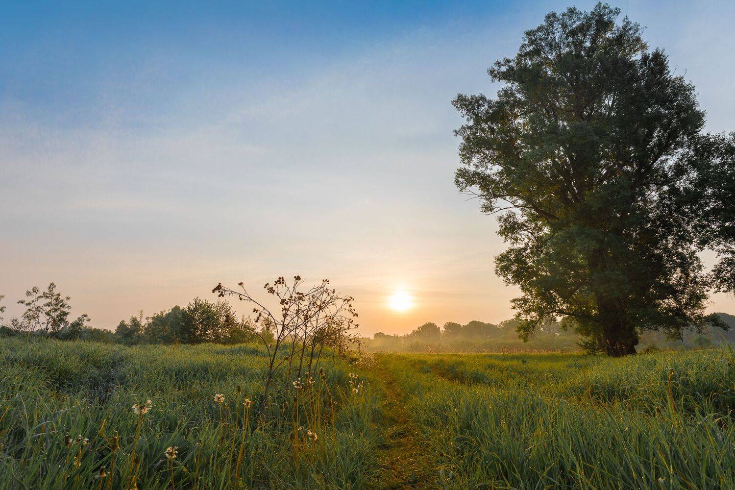 , Гильманов Артур