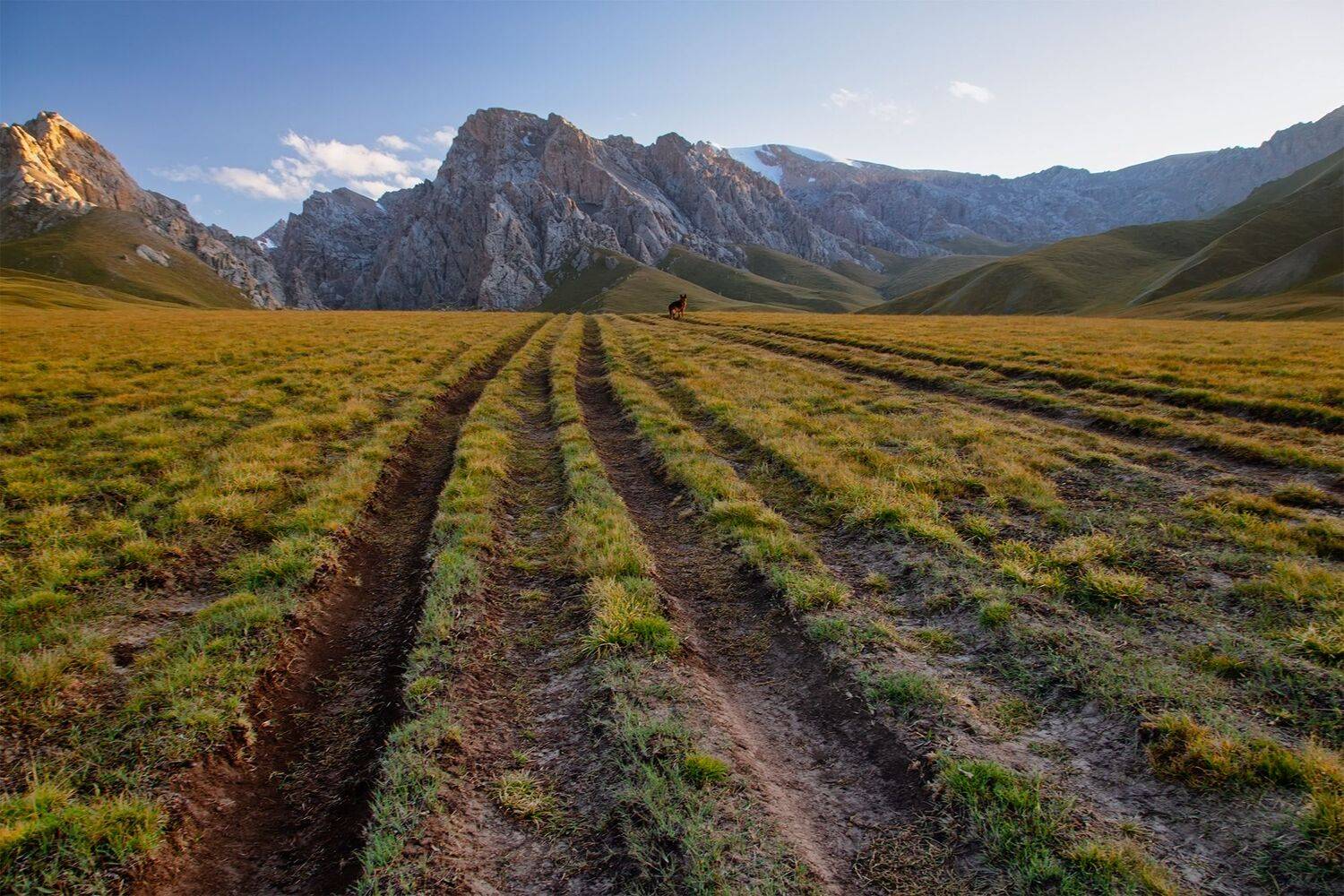 кыргызстан, кок-кыя, Элина Магалимова