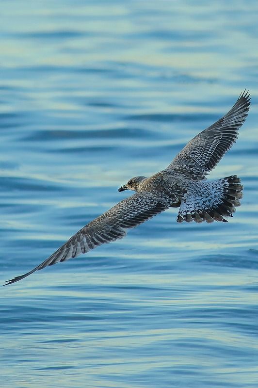 Untitled#* фото превью