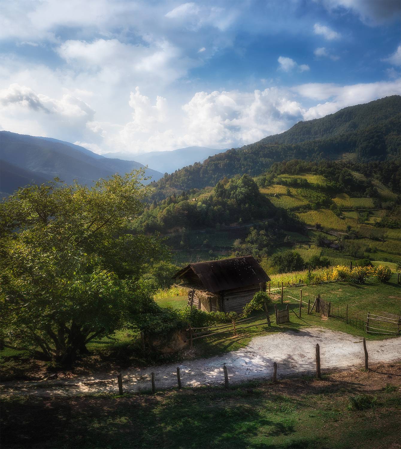 #Georgia,#landscape,#nature,#mountains,#fall, Helen Vasilieva