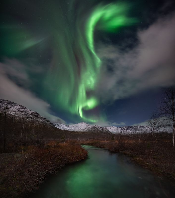 Aurora фото превью