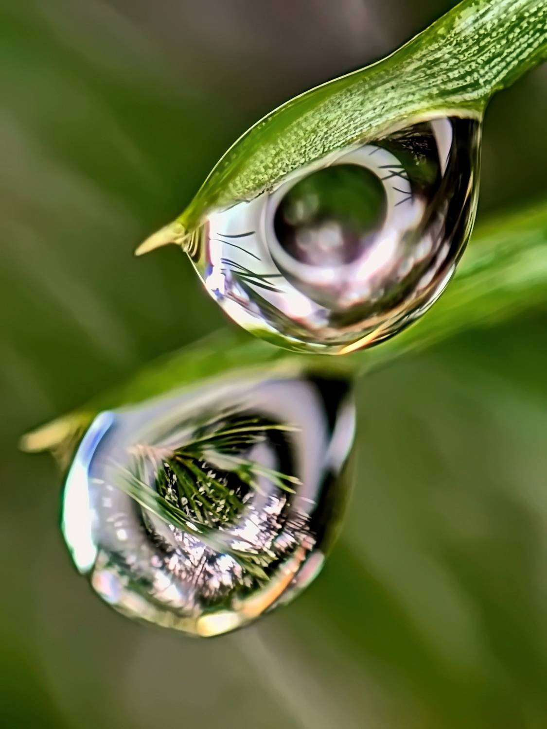 Mi Note 10 pro, Дмитрий Кузнецов