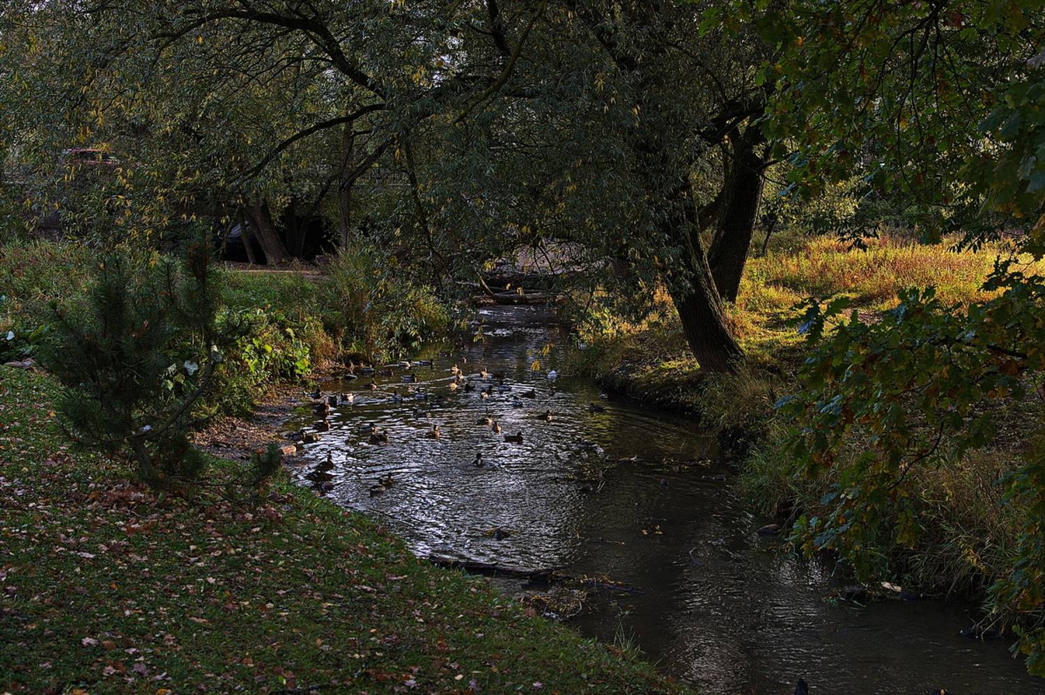 , Николаев Владимир