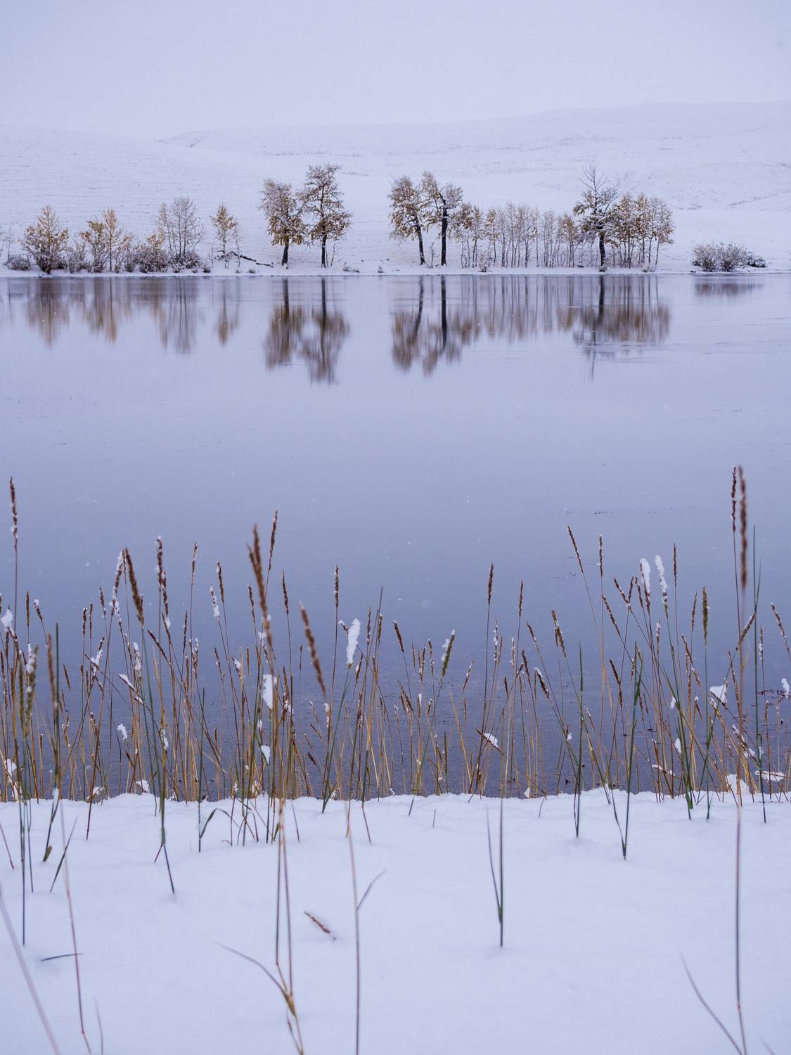 , Андрей Хаймин