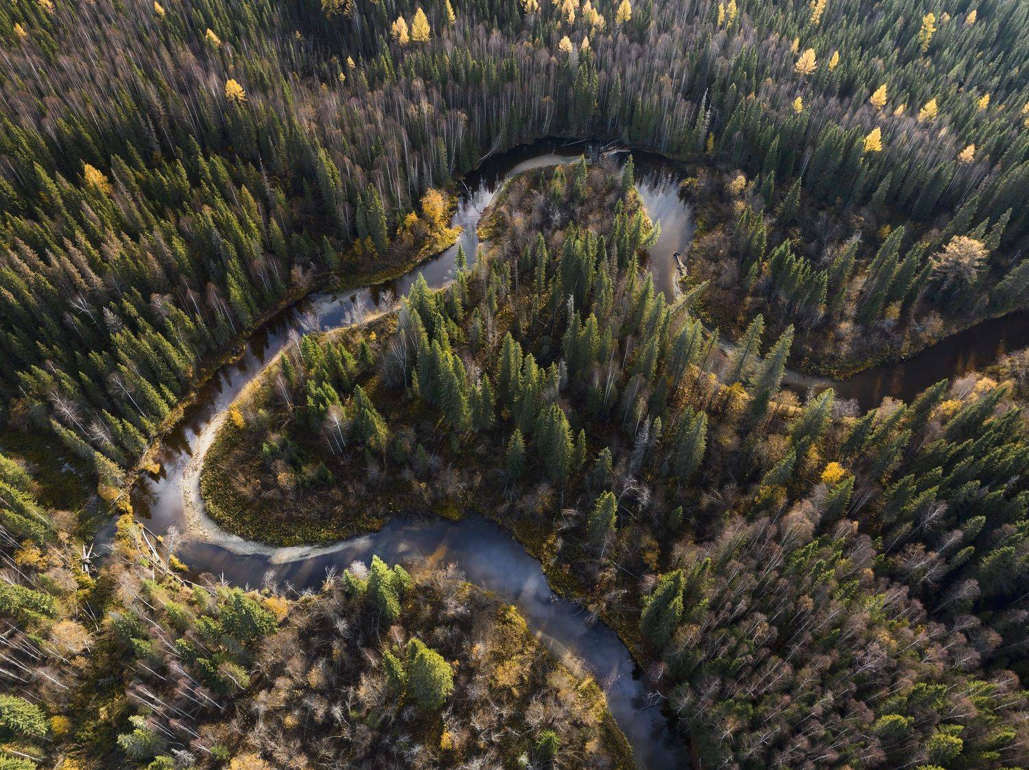 , Гончаренко Денис