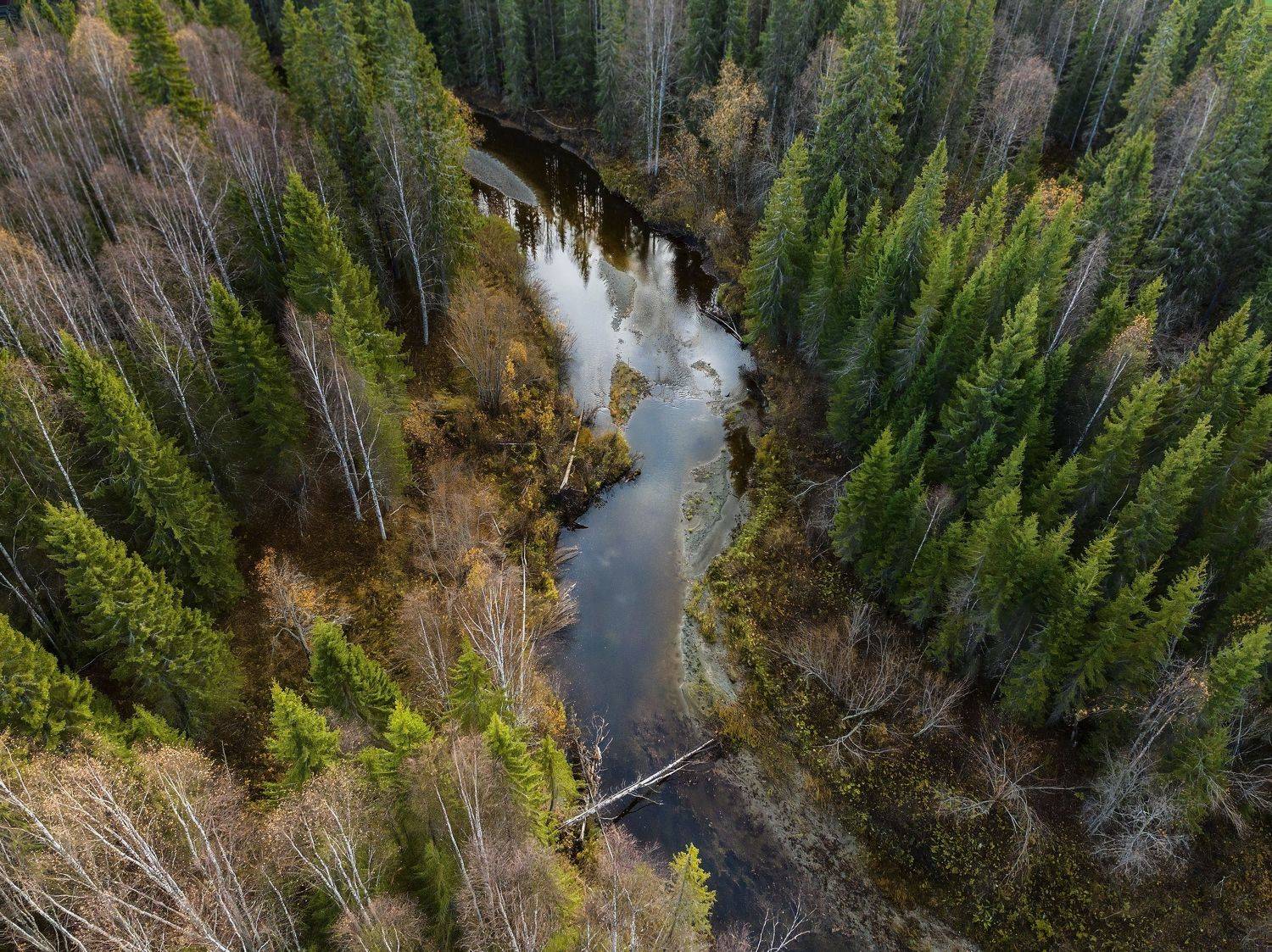 , Гончаренко Денис