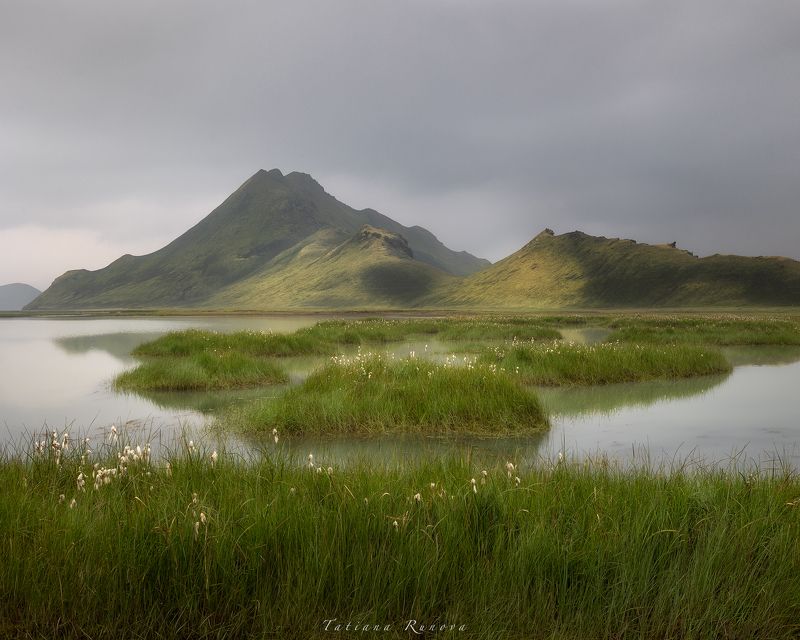 Пейзаж с пушицей фото превью
