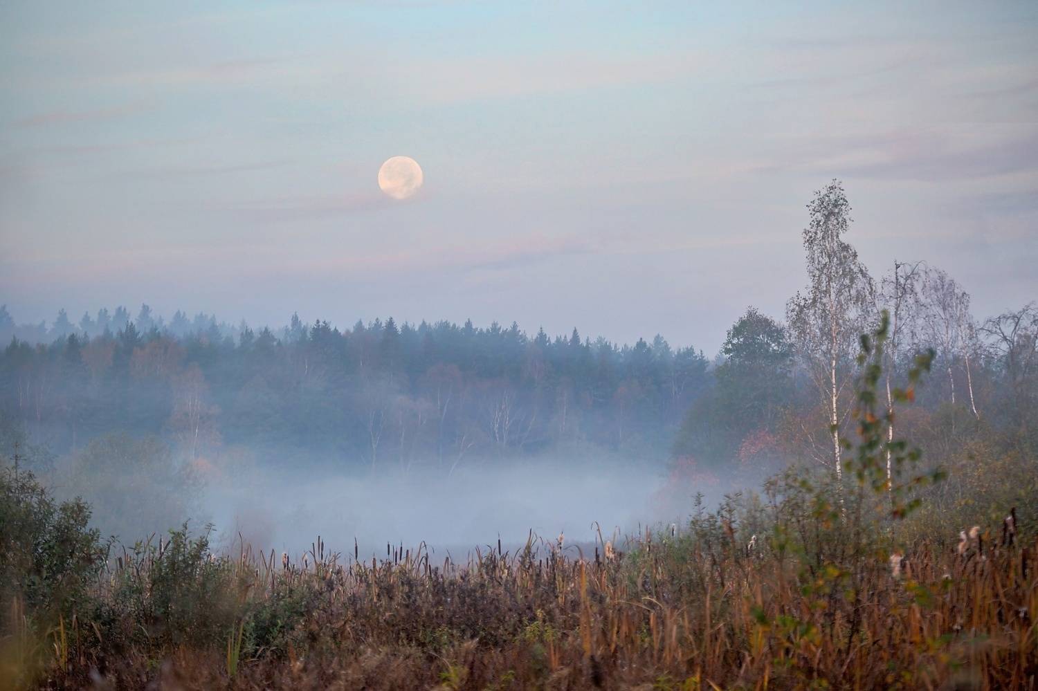 , Евгений Ерохин