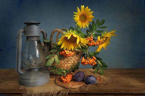 Подсолнухи и лампа