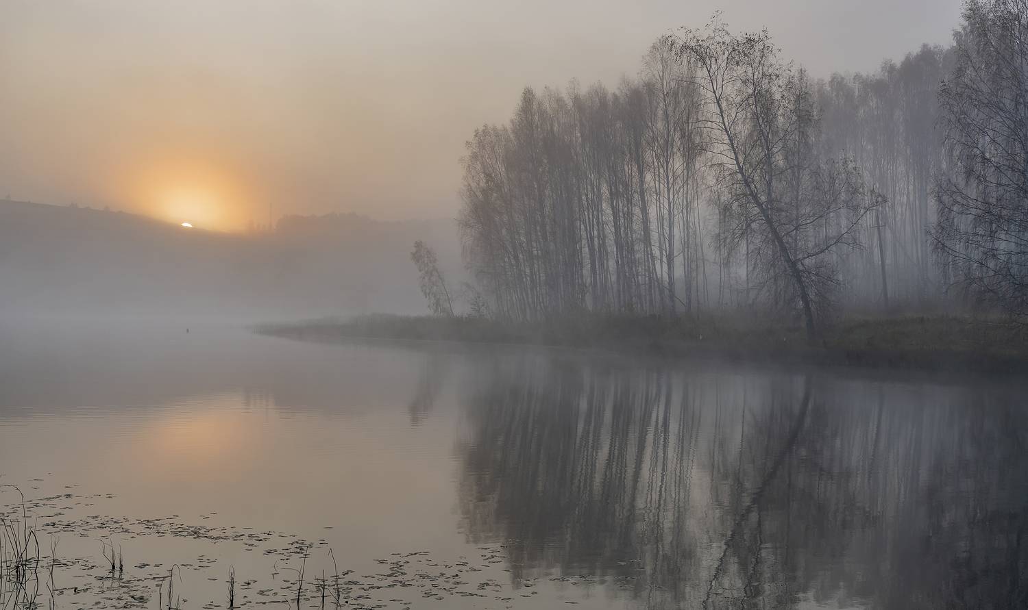 , Макеев Алексей
