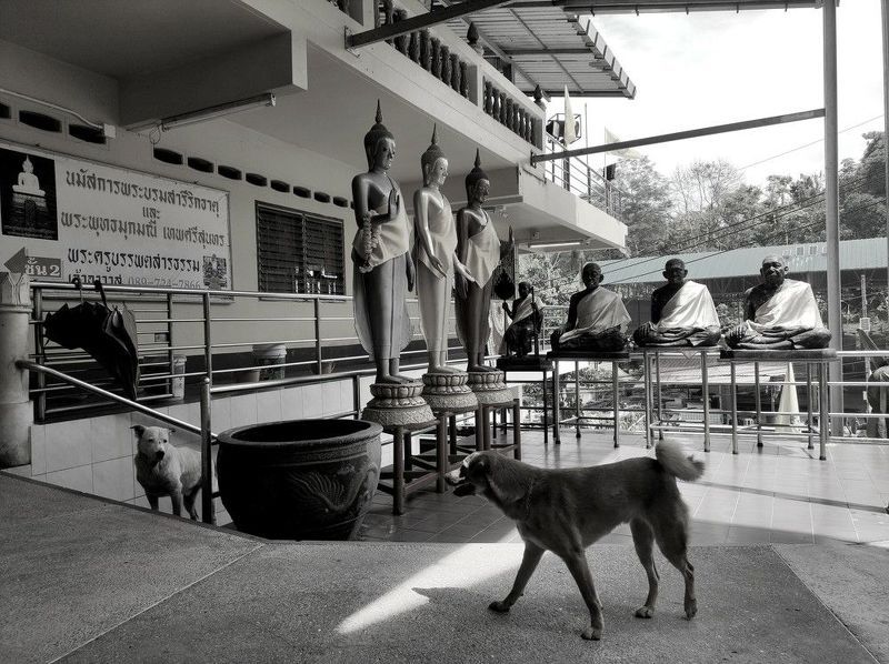 храм, тайланд, ч/б \