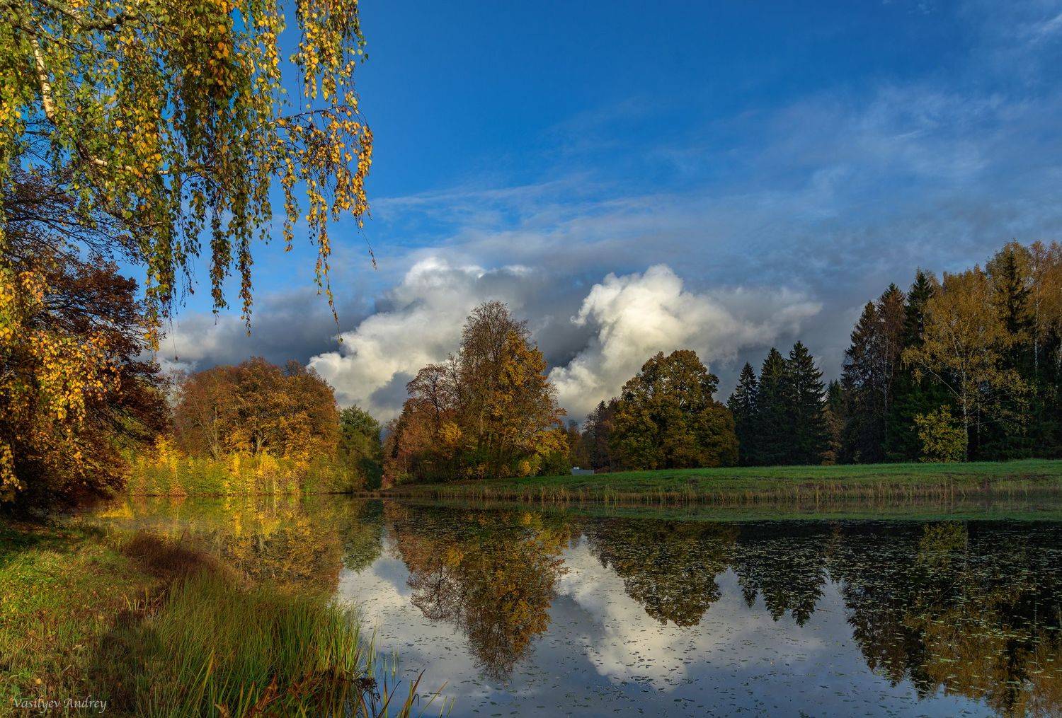 павловский парк, осень, вечер, павловск, река славянка, Vasilyev Andrey