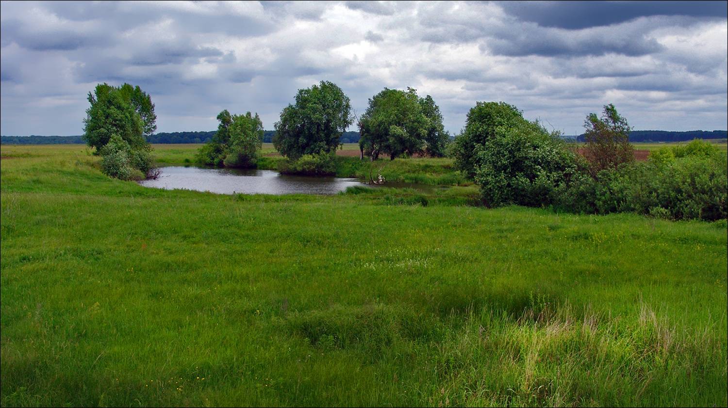 рязанщина, Тарасов Алексей