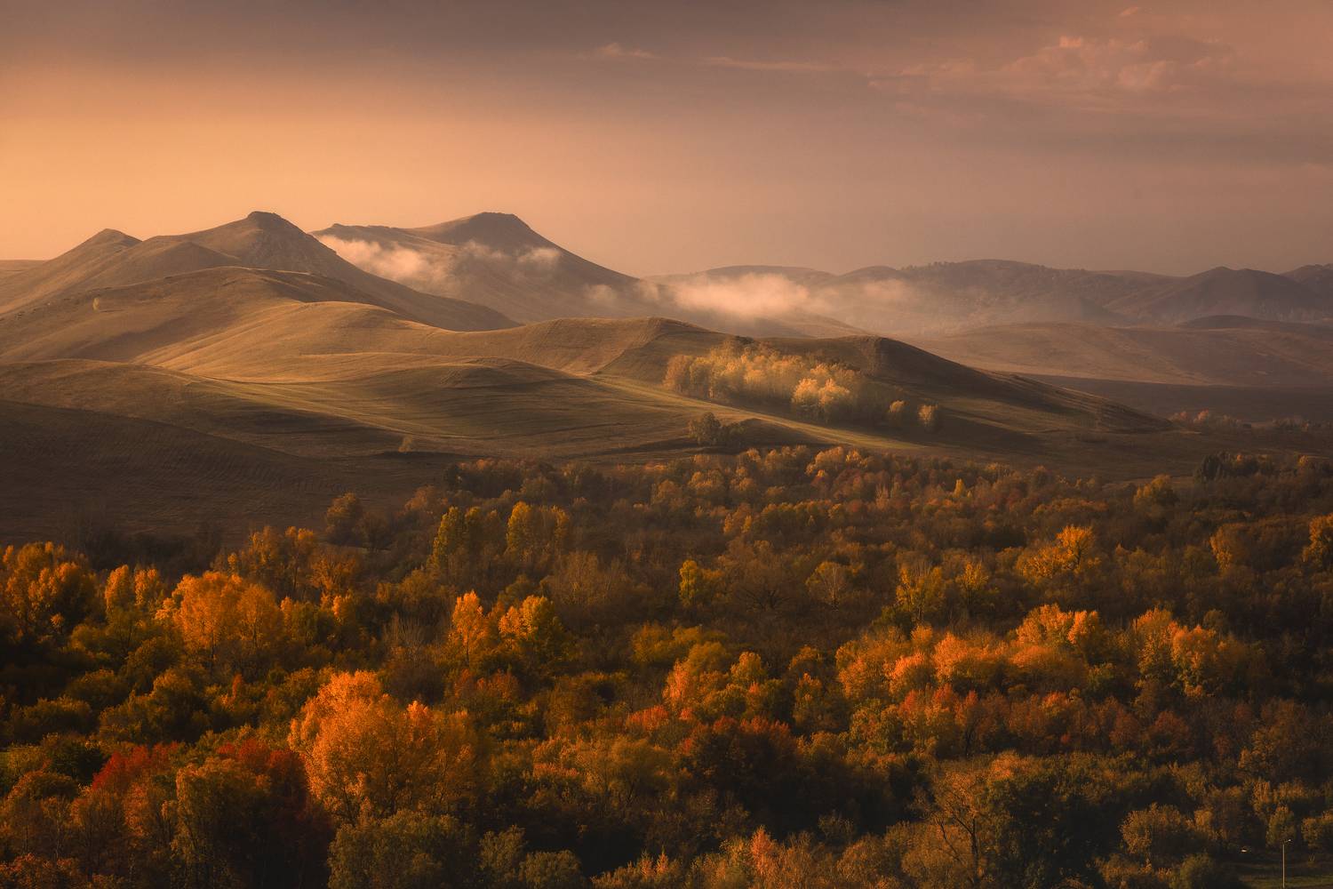 , Бирюкова Татьяна