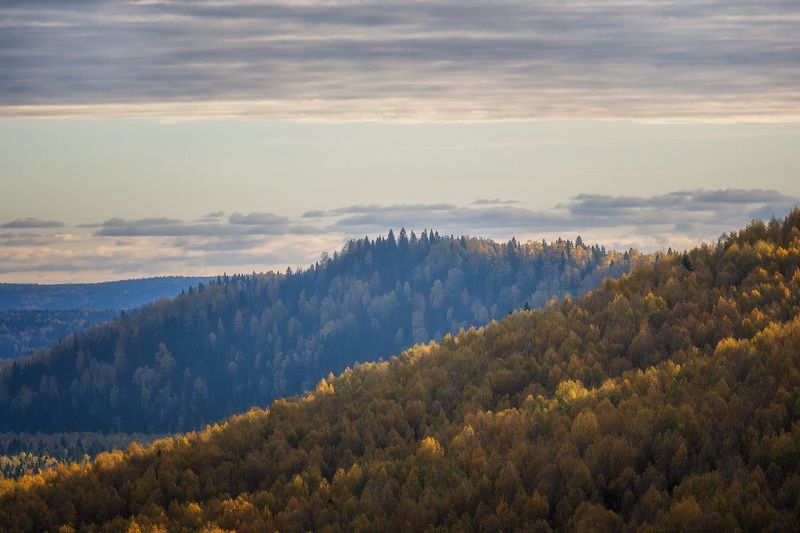 пермский край, осень, золотая осень, осенний лес, осенний пейзаж, россия, рассольный, разрез рассольный Березовые горы фото превью