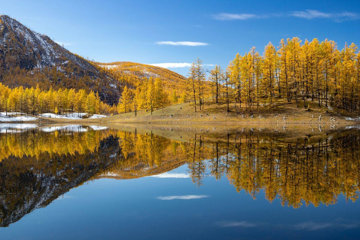 , Буянов Илья