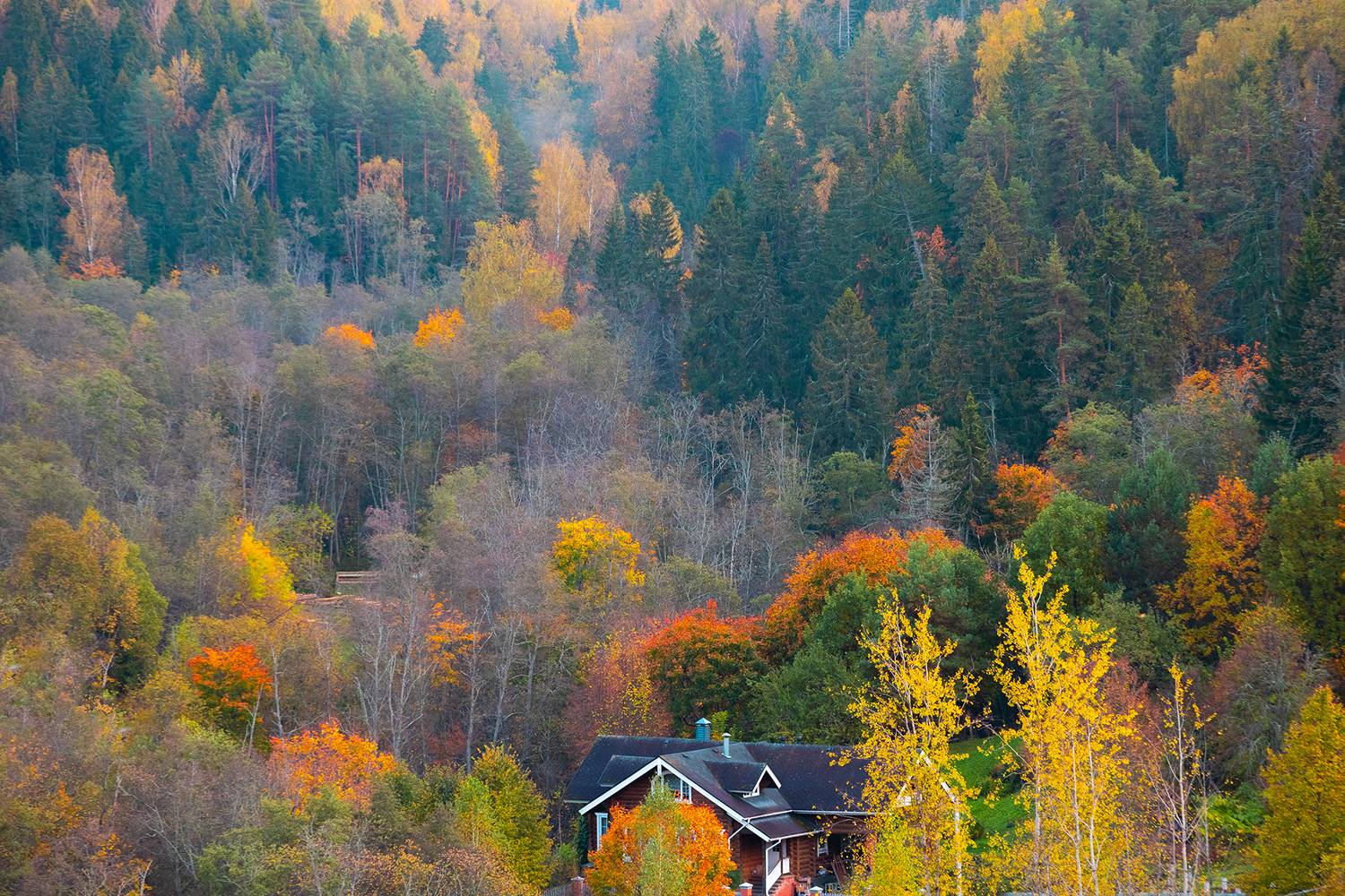 плёс, Чудинин Дмитрий