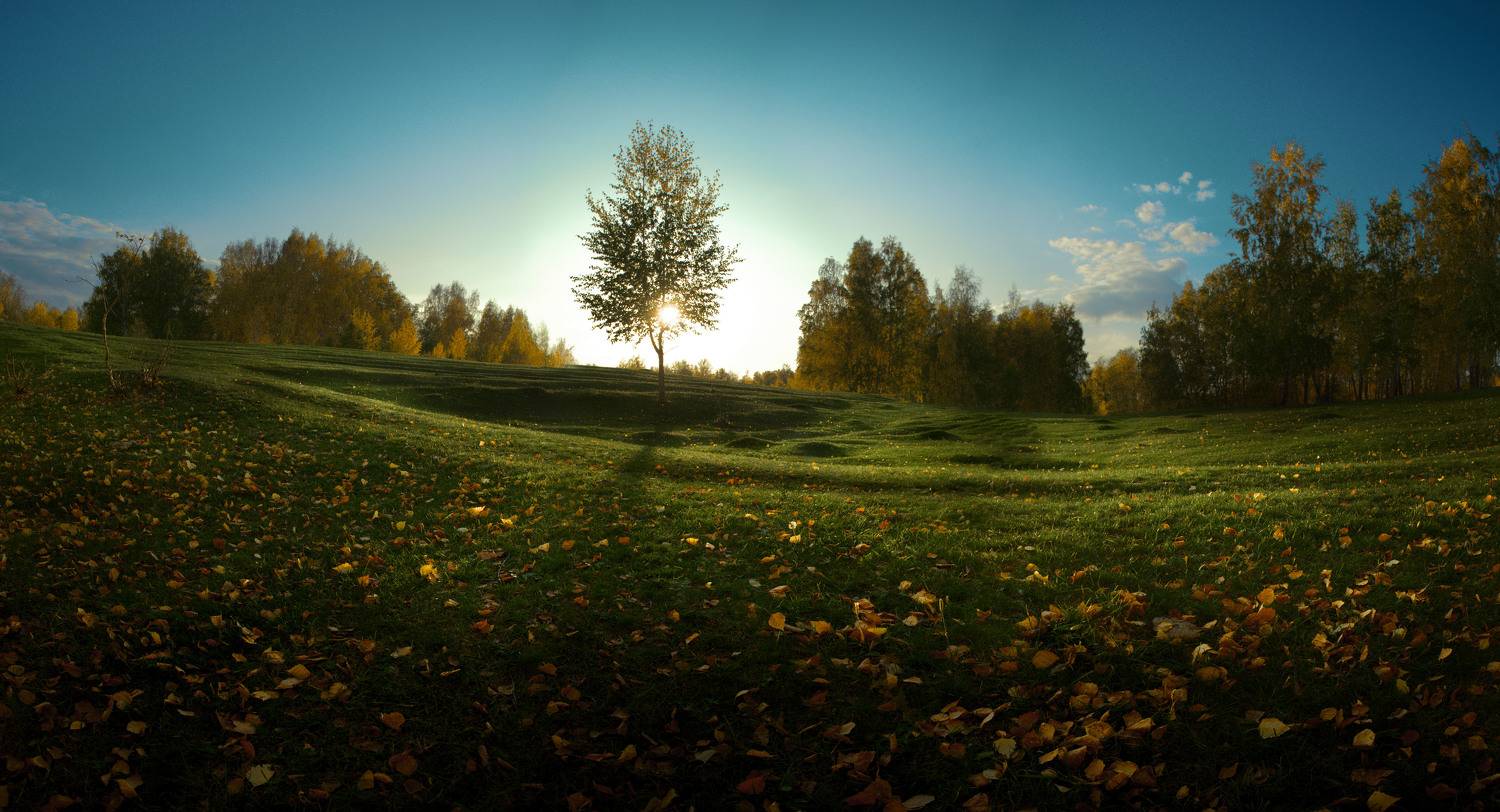 , Журавлёв Александр