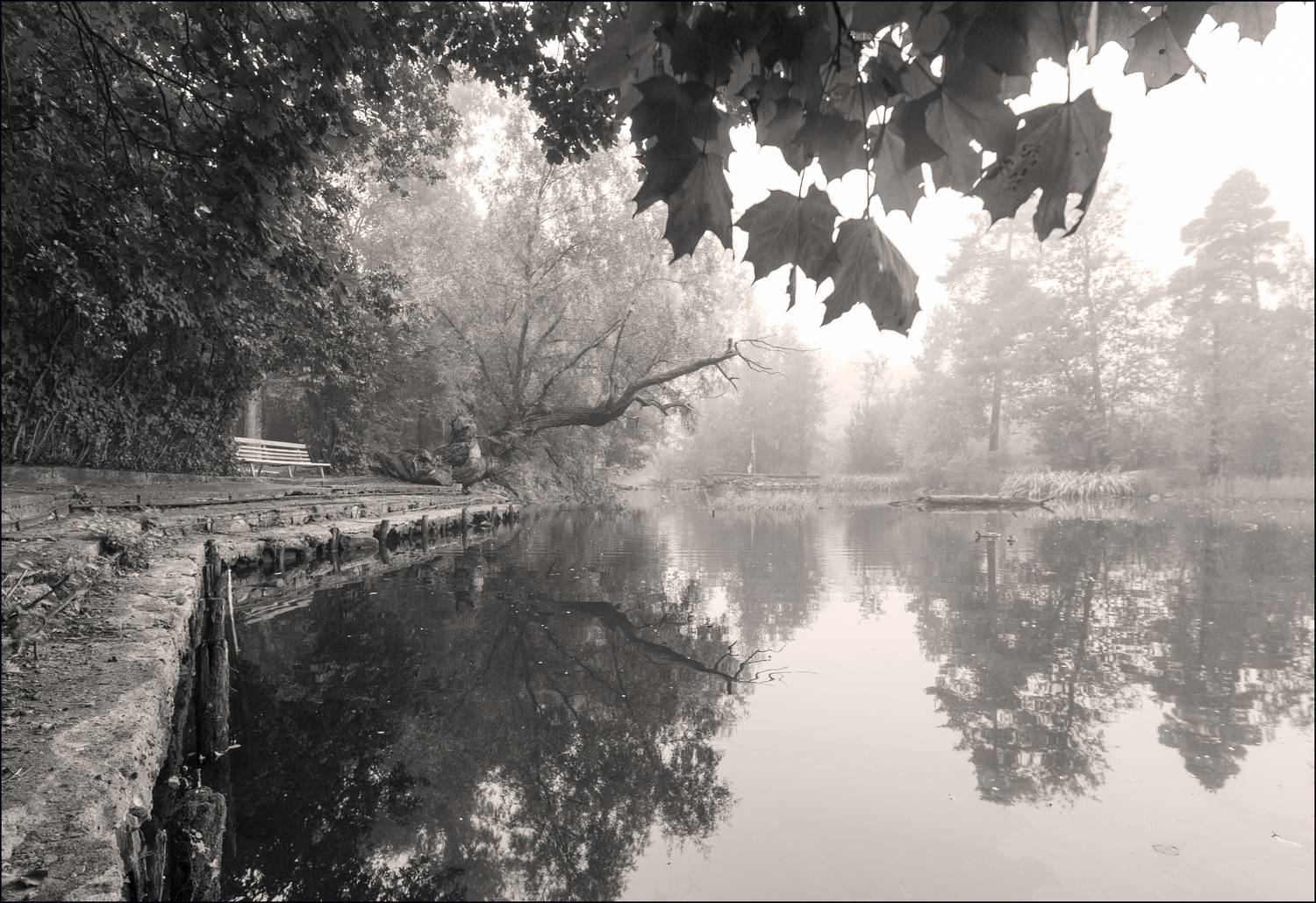 , Георгий Сапожников