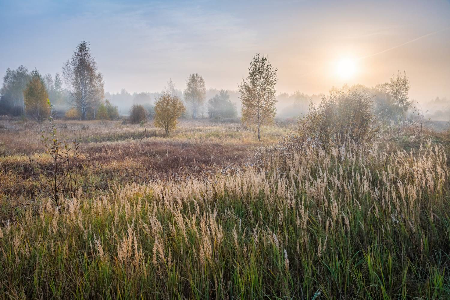 , Евгений Ерохин