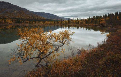 Осень на Кольском полуострове