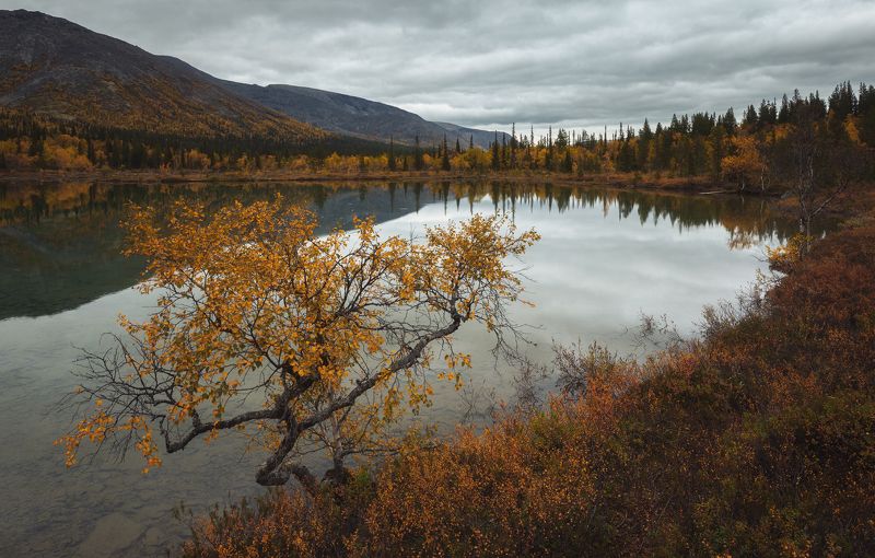 Кольский полуостров, Хибины, Осень Осень на Кольском полуострове фото превью