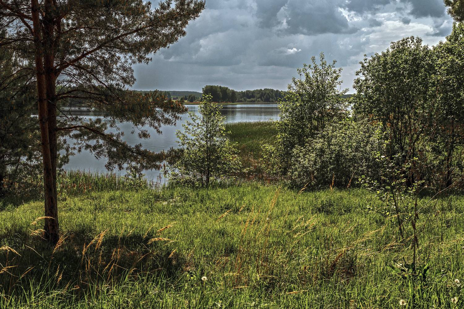 , Шитов Александр