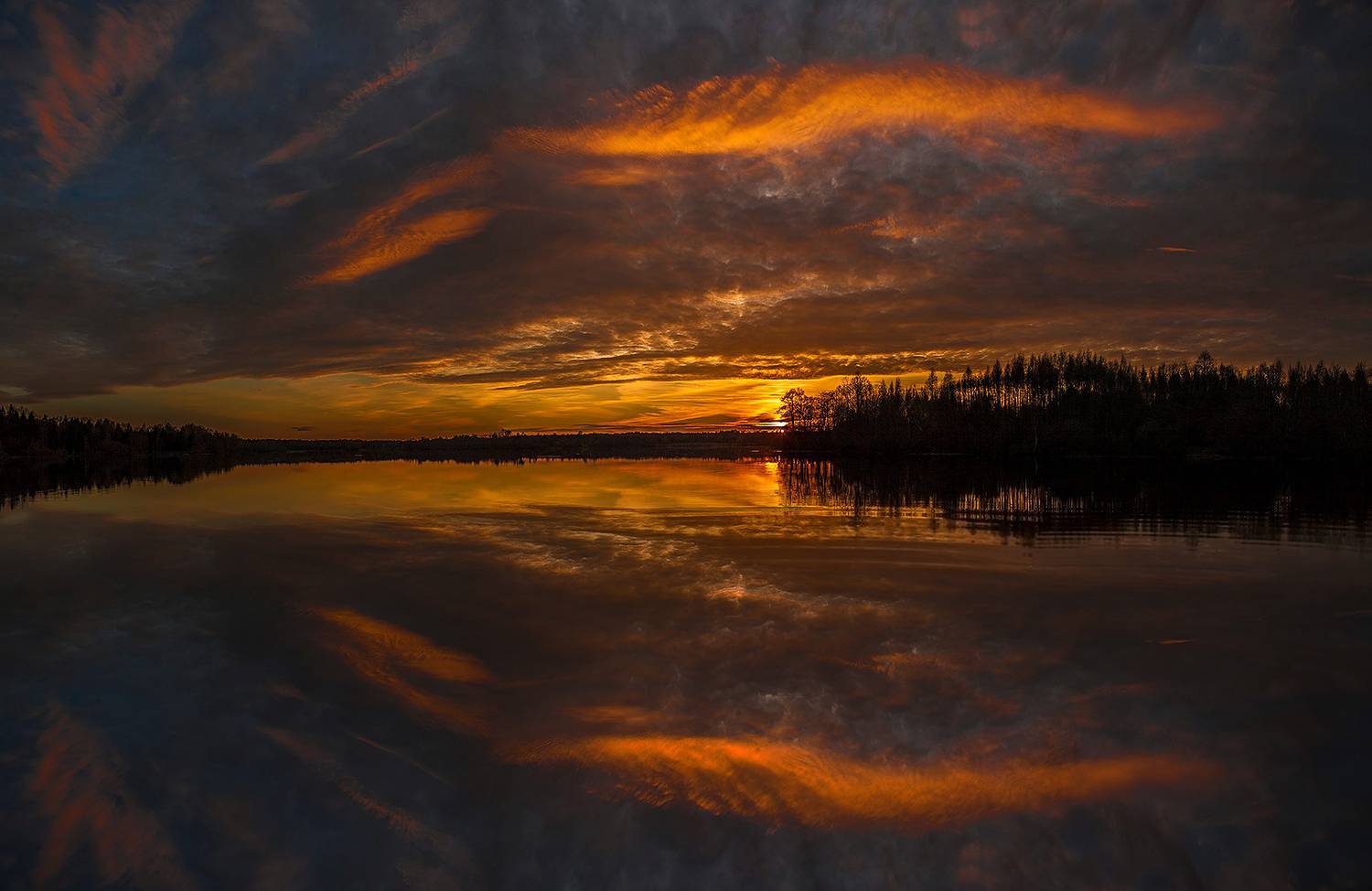 , Напалкин Станислав