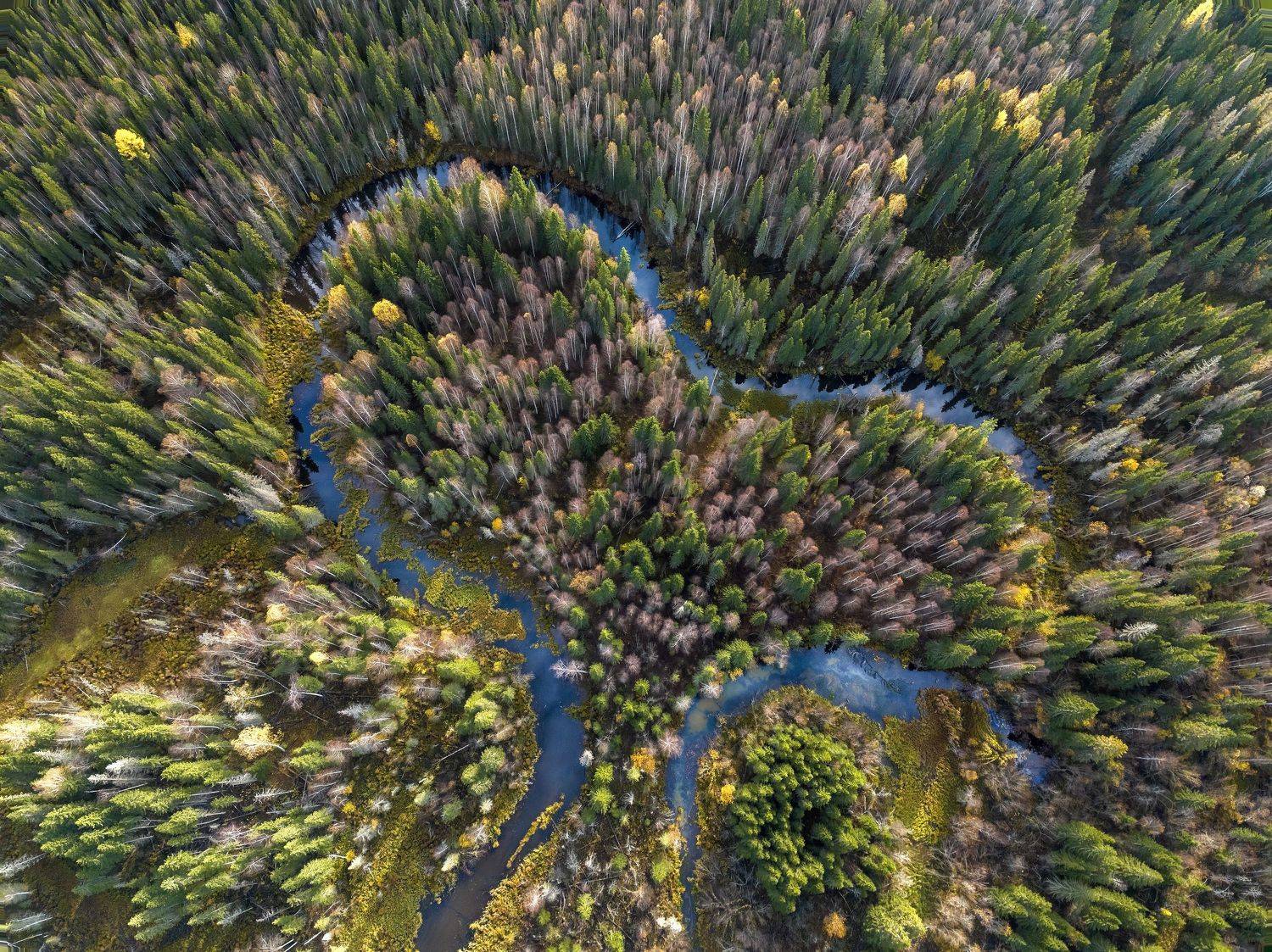 , Гончаренко Денис