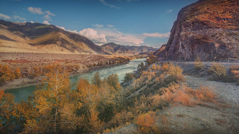 чуя, осень, алтай, река, лиственницы, природа, пейзаж, скалы, дорога, По Чуйскому тракту... фото превью